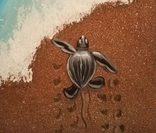 sea turtle painting